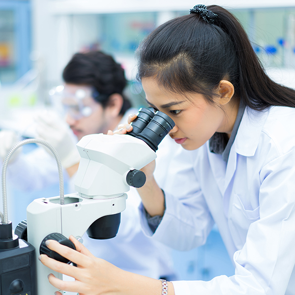 Woman looking in a microscope in a lab Woman looking in a microscope in a lab